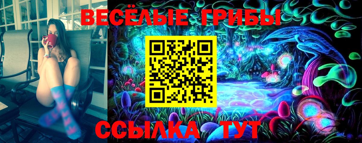 Галлюциногенные грибы MAGIC MUSHROOMS  Вход с VPN  Малгобек 